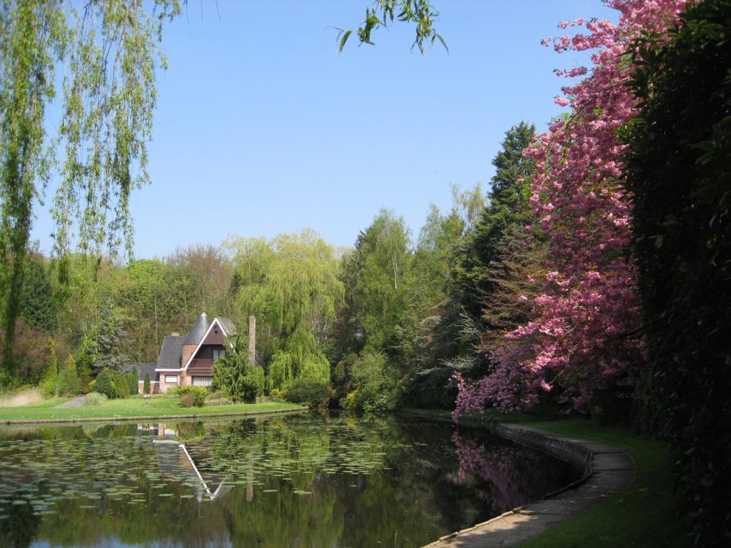 Lodewijk Male